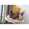 Louis Vuitton Monogram Canvas M45381 brown JH00116HM85