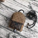 Louis Vuitton Monogram Canvas Palm Springs Backpack Mini 42411 JH00444aJ41