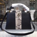 Louis vuitton original CAPUCINES N94220 BLACK JH01601Ye63