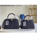 Replica Luxury Louis Vuitton CAPUCINES PM M48865 black JH00037hA88