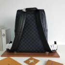 Hot Replica Louis vuitton original Monogram Damier Ebene apollo backpack M50003 Coconut tree JH00205IG96