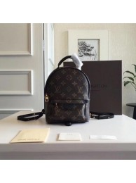 Louis Vuitton Monogram Canvas PALM SPRINGS BACKPACK MINI M41562 JH01688Zz83